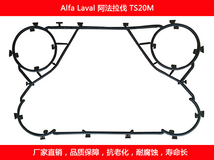 TS20M 國產板式91抖音APP下载密封墊片