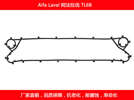 TL6B 國產板式91抖音APP下载密封墊片