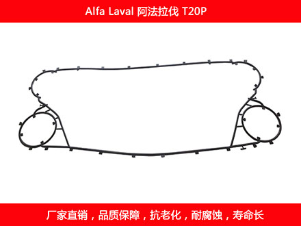 T20P 國產板式91抖音APP下载密封墊片