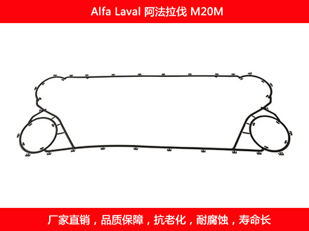 M20M 國產板式91抖音APP下载密封墊片